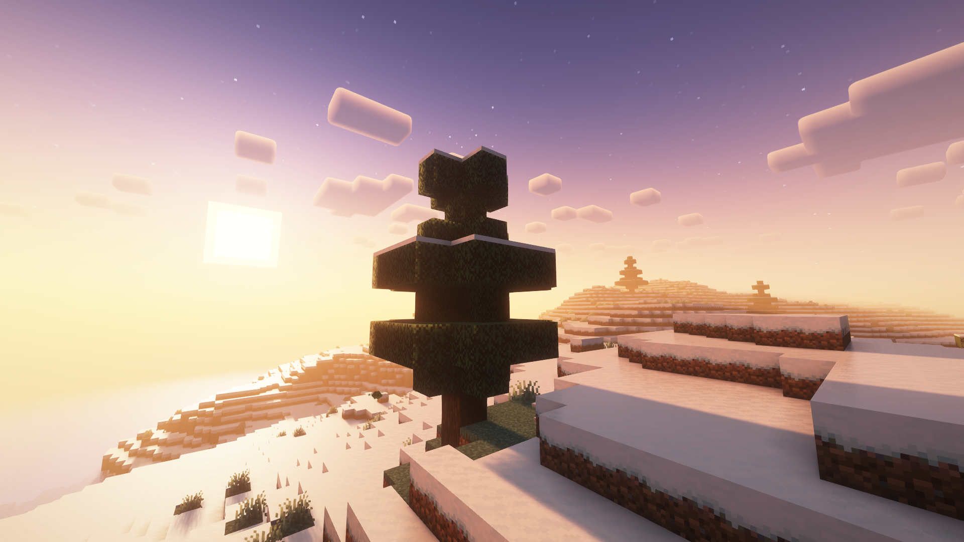 Beschreibung des Bildes